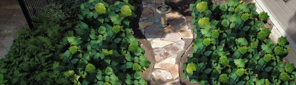 Xylem Designs